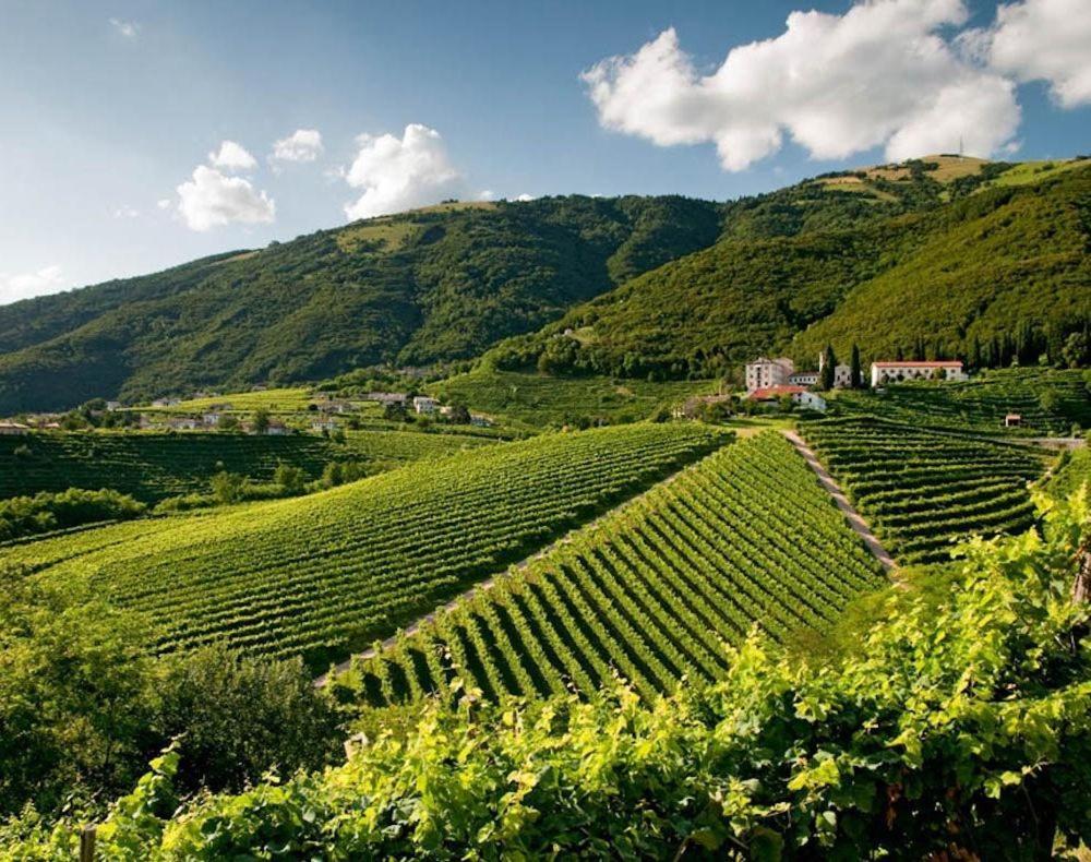 Follinetta10 - Enjoy Holiday Home In The Prosecco Hills Follina Eksteriør billede